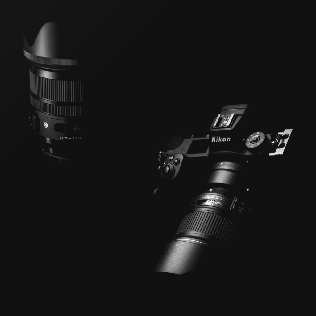 canon vs nikon