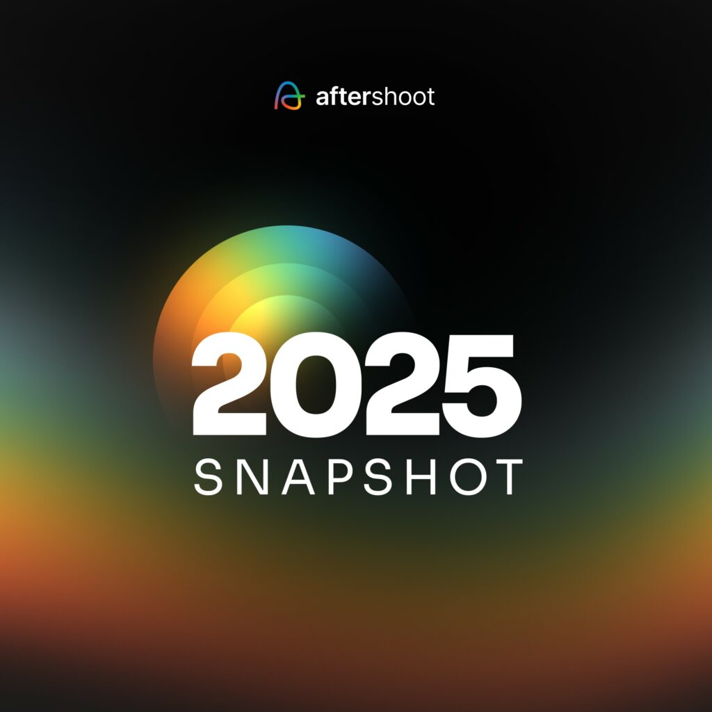 Snaspshot year in review 2025